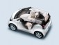 toyota iq 100G Leather Package фото 1